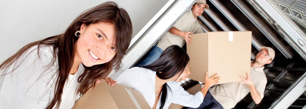 Professional Removalists Darch
